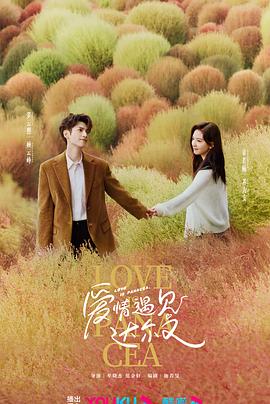 德州怎么做网站优化排名